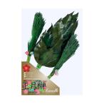  Новый год .M сосна имеется ( один на ) сделано в Японии полив ... долговечный долгое время сохранение возможность красивый особый обработка SKK-015M