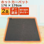 ホットカーペット 2畳 本体 電気カーペット 一人用 176×176cm TEKNOS テクノス TWA-2002B 折り畳み収納可能 フローリング