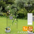 アイアンフェンス 1枚 単品 ガーデンフェンス バラ 薔薇 誘引 目隠し ブラック 高さ226 グラフ IF-GR024-1P おしゃれ ガーデン 庭 園芸柵 蔦 つるばら トレリス