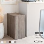 ゴミ箱45リットル45Lおしゃれ北...