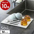 特典付［ ソイル ドライングボードライト M ］soil 珪藻土マット ドライン