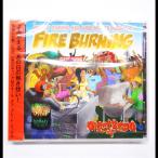 CD レゲエ GIANT SWING  FIRE BURNING