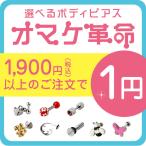 ボディピアス 18G 16G 14G 対象商品合わせて1900円以上のご購入で1円 オマケ革命(1個売り)