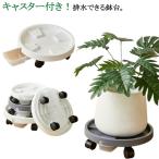  с роликами . осушение возможен горшок . шт. горшок шт. горшок класть осушение горшок . шт. горшок . шт. осушение tray имеется горшок тарелка поддонник . тарелка тележка цветочный горшок шт. растение в горшке шт. посадочная машина подставка 