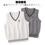 .. серия цвет × линия ввод вязаный лучший свитер без рукавов женский V шея форма лучший хлопок . школьный жилет школьная форма средняя школа средний . посещение школы женщина 