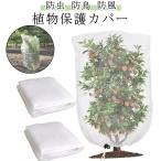  москитная сетка садоводство сеть защита от птиц сеть мешочек тип растения защита овощи культивирование птица .. сеть .. посадочная машина цветок . репеллент от моли покрытие 40*50cm 60*80cm 8