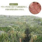  защита от птиц сеть защита от птиц сеть 2×50m 3×30m 7m×30m 10m×10mkalas избежать голубь избежать птица избежать кошка . пробег предотвращение . хорошо кошка . входить предотвращение нейлон прозрачный сеть 