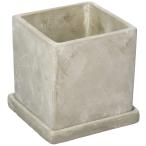  рисовое поле средний керамика посадочная машина CEM16