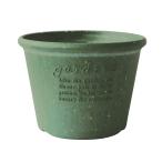  Hachiman .. eko pot / цветочный горшок . type 7 номер зеленый [papie(Hachiman gardens:papier)]