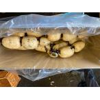  маленький . ферма Ibaraki . штук . лотос мытье 2kg прямая поставка от производителя бесплатная доставка подарок подарок подарок на Bon Festival подарок по случаю конца года 