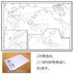 「学べる白地図 ミニ（世界）」【封筒発送】B3サイズ 社会科の復習、夏休みの自由研究、学習、勉強に