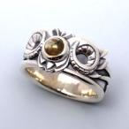 衝撃ゴウライガン Animal Rai Ring アニマル ライ リング 基準外サイズ 正規品