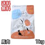 エーワン 馬肉ドッグフード 1kg 国産 送料無料 賞味期限 2025年9月1日