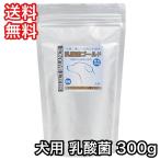 ショッピングゴールド セレクトバランス 乳酸菌ゴールド 犬用 顆粒 300g 送料無料 賞味期限 2025年7月26日