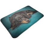 玄関マット バスマット 水洗い 防滑