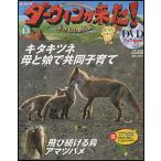 NHKダーウィンが来た！ＤＶＤブック　43号 キタキツネ／アマツバメ