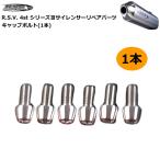 R.S.V. RSV1001 4stシリーズIII サイレンサー用 キャップボルト(1本) バイク マフラー リペアパーツ RSV ラフアンドロード ラフ＆ロード (RSV-S3)