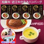 ハンバーグ ギフト 国産 松阪牛 近江牛 詰め合わせ メッセージカード作成無料 レトルトパック レンジでチン グルメ セット 内祝い 出産内祝い お返し 退職 お礼