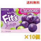 ロッテ Fit's（フィッツ）グレープミックス 12枚×10個