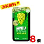 ミンティアブリーズ シャインマスカット　30粒×8個