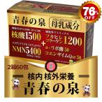 卸価格５個の青春の泉成分【核酸サプリ】【ＮＭＮ】【NMN サプリ】【核酸】【NMNサプリメント】【核酸ドリンク】【核酸1500】【コエンザイムq10】核酸DNA2箱