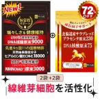 プラセンタ サプリメント 馬 国産　極限増量北海道サラブレッドプラセンタ原末230mg＋DNA核酸原末75mg馬　2袋　ヒアルロン酸ＥＣＭＥ1202袋　合計4袋