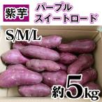 紫芋 5kg 送料無料 パープルスイートロード 紫 さつまいも 千葉県産 茨城県産 サイズお任せ(S,M,L)