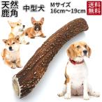 犬 おやつ 無添加 国産 鹿の角 中型犬 ガム 鹿角 おもちゃ デンタルケア 犬のおやつ 歯石 犬のガム 犬用ガム 犬用 歯磨きガム 鹿 角 歯みがき