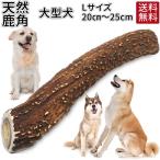 鹿角 犬 無添加 おやつ 国産 鹿の角 大型犬 犬用ガム おもちゃ ガム デンタルケア 犬のおやつ 歯石 犬のガム 犬用 歯磨きガム 鹿 角 歯みがき