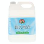 ミマスクリーンケア 【大容量】 緑の魔女ランドリー(洗濯用洗剤) 5L 業務用
