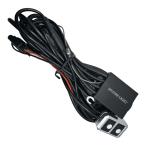 SPHERE LIGHT sphere свет мотоцикл противотуманая фара для переключатель есть Harness SLBKSH-01