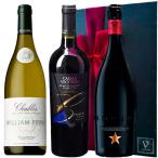 3本セット ビール   イ�