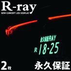 ショッピングフレーム 字光式ナンバープレート LED 照明器具 R-ray アールレイ 2枚セット 1台分 国土交通省認可要件準拠 車検対応 永久保証 日本製 薄型フレーム LEDナンバー