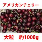 アメリカンチェリー 1000g