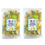 坂製菓塩分チャージゼリーレモン＆ラ...