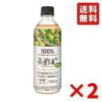 ショッピング飲む酢 美酢 美酢プラス うめ 500ml 2本 セット ビビゴ 美酢 美酢ドリンク ビタミンC 韓国食品 韓国食材 韓国ドリンク bibigo お試し 送料無料