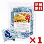 ポップコーン フレーバー 夢フル 50袋 ブラックペッパー 粉 パウダー フライドポテト チキン 味付きパウダー ハニー シーズニング お祭り イベント 送料無料