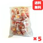 冷凍 いちごまるごと練乳入りアイス  20g×250個 （50個入×5袋） 練乳いちごアイス 苺アイス いちご おやつ デザート 業務用 送料無料