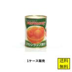 フルーツ缶詰 サンウォッチ びわ 565g (13粒〜17粒) 24缶 製菓材料 トッピング デザート 業務用 ケース販売 送料無料 協同食品