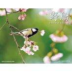 2021 野鳥カレンダー (カレンダー)