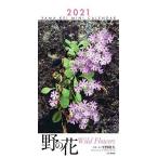 カレンダー2021 ミニカレンダー 野の花 (月めくり・卓上/壁掛け・リング) (ヤマケイカレンダー2021)