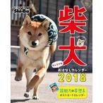 2018カレンダー 柴犬やんちゃな おはなしカレンダー (カレンダー)