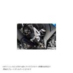 ベビーフェイス セットバックプレート シルバー GSX-R125
