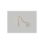  Daytona FORCE RAY H4 клапанная пружина 