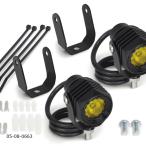 SP Takegawa (SPtake сторона ) LED противотуманая фара комплект 3.0(950/ лимон желтый ) DC12V специальный (2 штук ) 05-08-0663