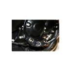 R&amp;G двигатель кейс ползун черный STREET TRIPLE 675 [ Street Triple ] RG-ECS0016BK