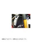 R&amp;G радиатор защита titanium цвет DUCATI Streetfighter/S