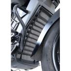 R&amp;G радиатор защита titanium ( цвет ) Scout RG-RAD0209TI