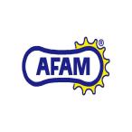 |限定特価|AFAM (アファム) フロントスプロケット 520-12 HONDA ホンダ CR250 TRX250 CR450 20308-12