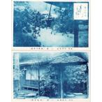 [ Osaka ....] 2 лист 4 листов (. магазин чай сиденье / сад / сад снег ./ покупатель сиденье ) - 2018-06-21-9
